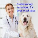 Quick Relief for Dog Diarrhea (100ml)