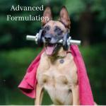 Quick Relief for Dog Diarrhea (100ml)