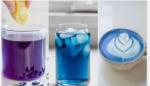 Butterfly Pea Flower Herbal Tincture