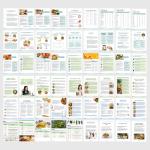 Nutrition Bundle: Canva Templates for Health Coaches