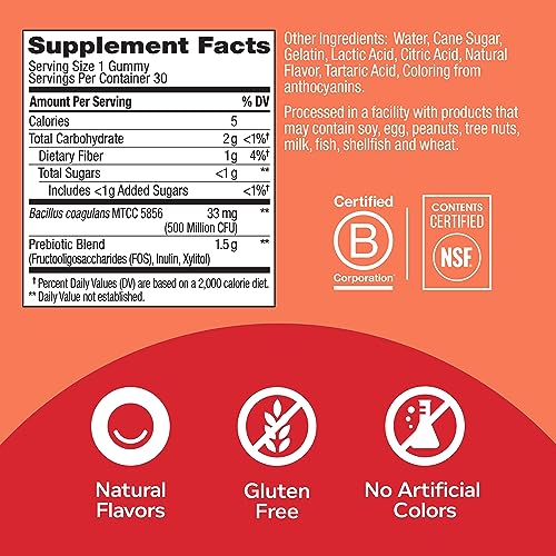 OLLY Probiotic + Prebiotic Gummy for Gut Health