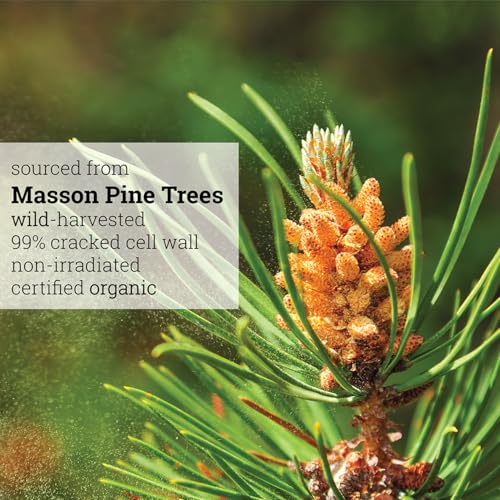 Organic Pine Pollen Powder - Energy & Immunity Boost