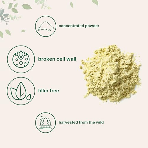 Pure Pine Pollen Powder for Immune Support