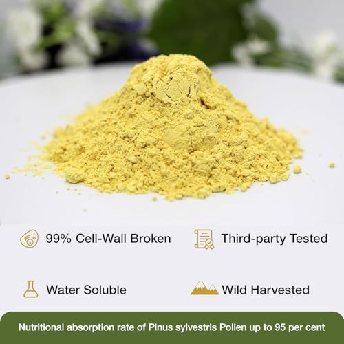 Wild Harvested Pine Pollen Powder - 6 Ounce