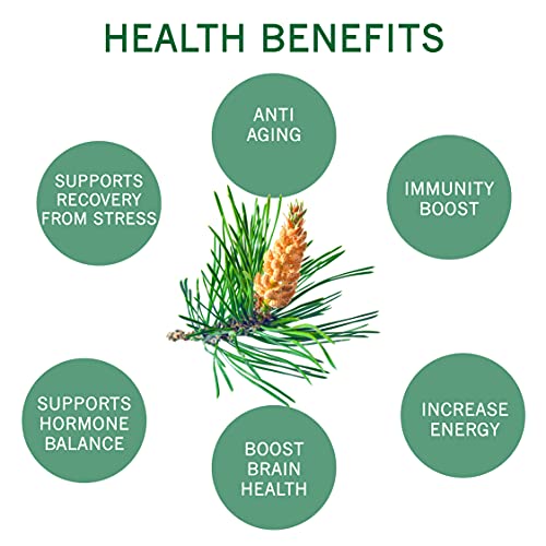 Organic Pine Pollen Powder - Energy & Immunity Boost