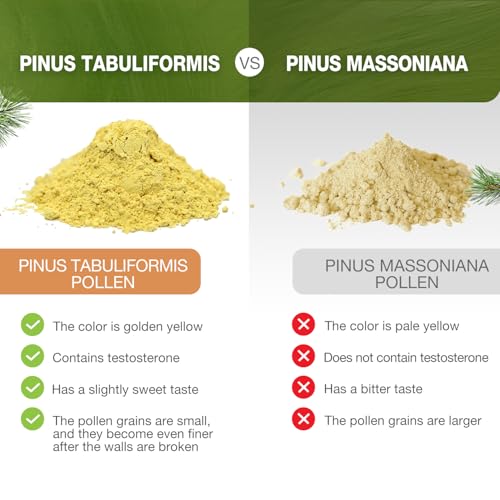 Wild Harvested Pine Pollen Powder - 6 Ounce