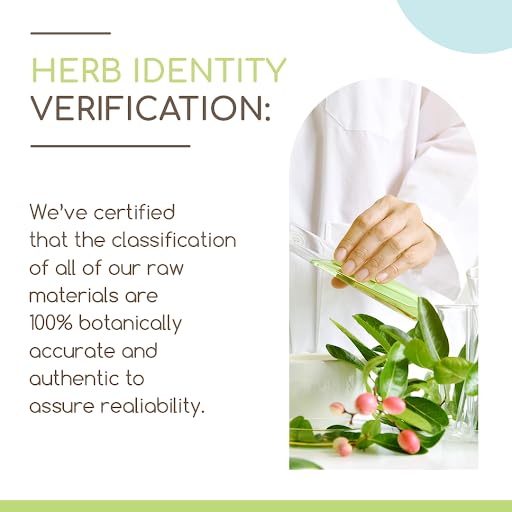 OSHA B60 Alcohol-Free Herbal Extract Tincture Drops