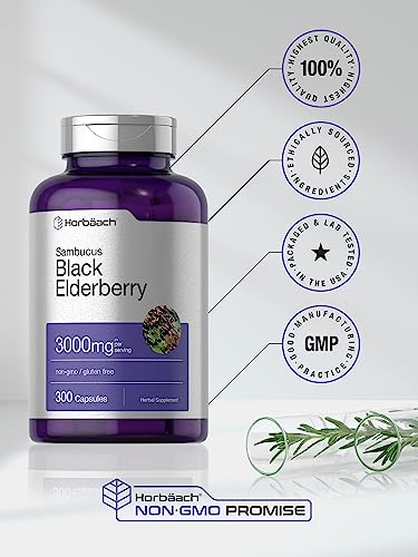 Horbäach Black Elderberry 3000mg Capsules - 300 Count