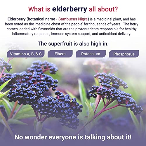 Organic Dried Elderberries for Immune Support, 1lb