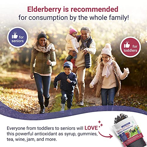 Organic Dried Elderberries for Immune Support, 1lb