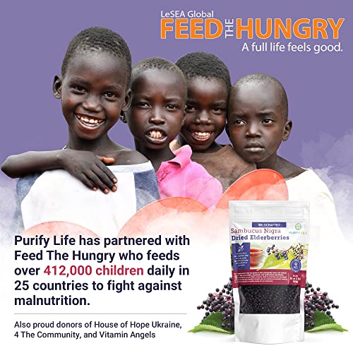 Organic Dried Elderberries for Immune Support, 1lb