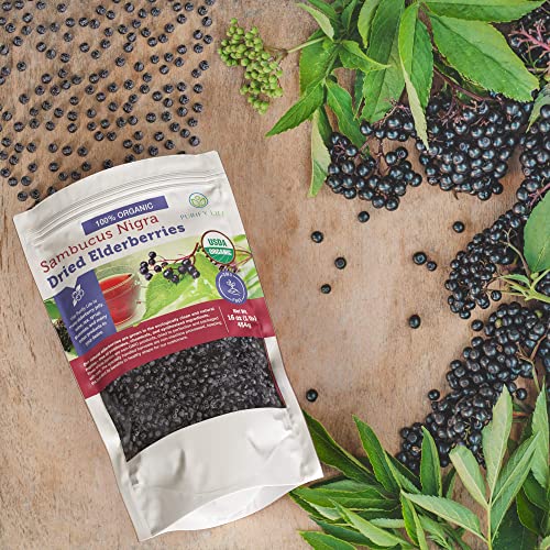 Organic Dried Elderberries for Immune Support, 1lb