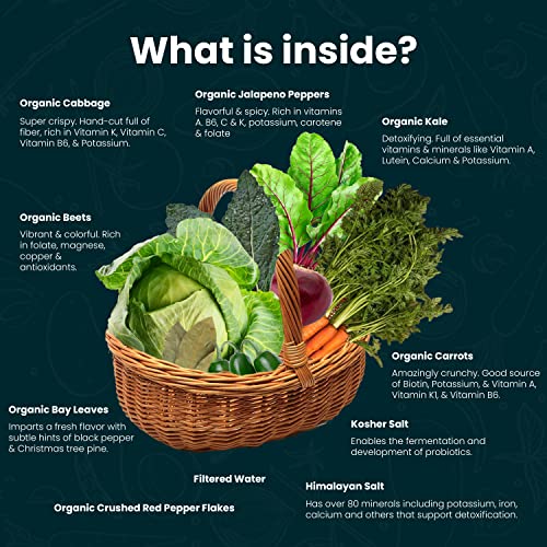 Organic Probiotic Sauerkraut Variety Pack - 4 Pack