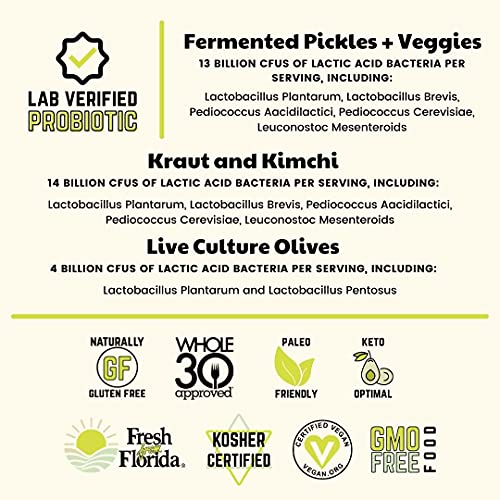 Organic Fermented Sauerkraut and Pickle Variety Pack