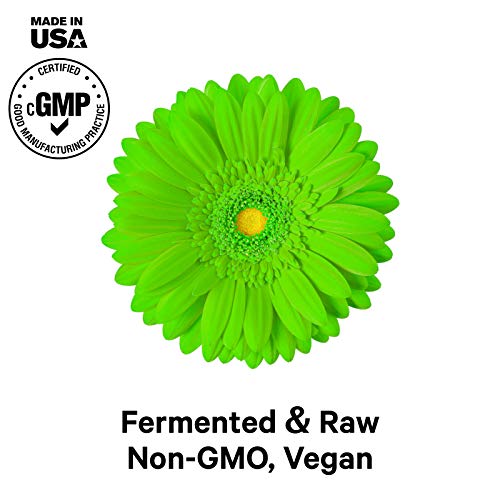 Codeage Vegan Digestive Enzymes for Gut Health