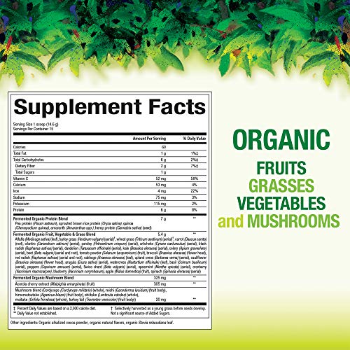 Organic Fermented Greens Vegan Whole Food Chocolate