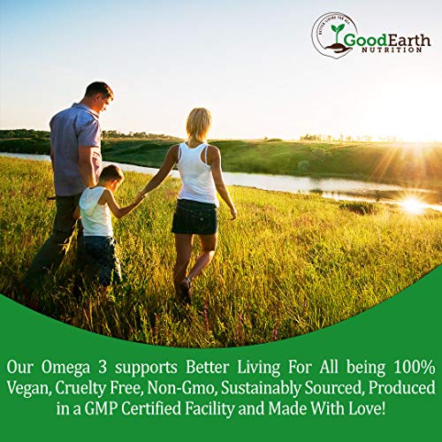 Vegan Algal Oil DHA Omega 3 Supplement - 60 Softgels