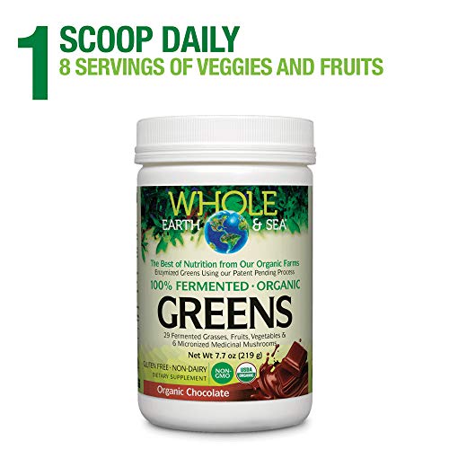 Organic Fermented Greens Vegan Whole Food Chocolate