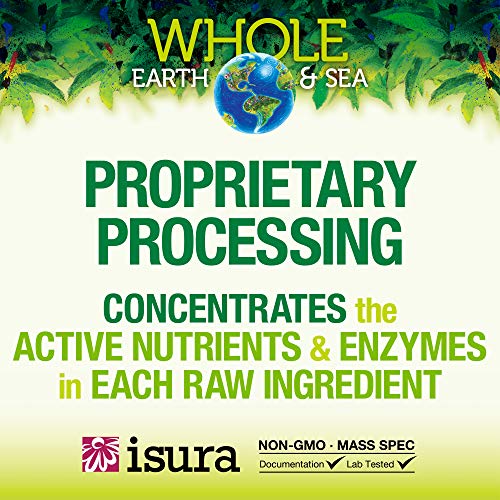 Organic Fermented Greens Vegan Whole Food Chocolate