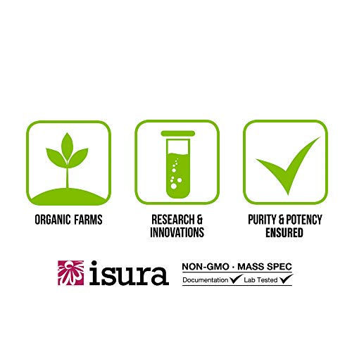 Organic Fermented Greens Vegan Whole Food Chocolate