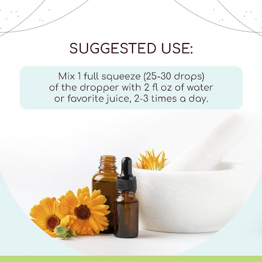 Alcohol-Free Herbal Extract Tincture Concentrate 2 fl oz