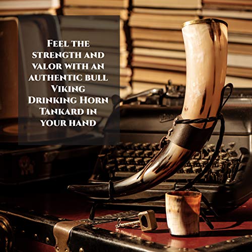 Large Viking Drinking Horn with Stand - Unique Beer Stein