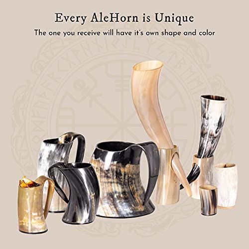 Viking Drinking Horn Mug and Shot Glass Set