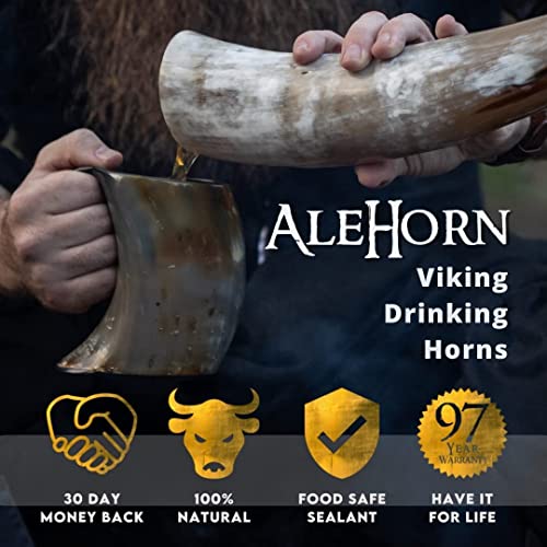 Viking Drinking Horn Mug and Shot Glass Set
