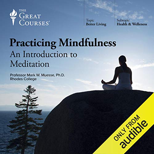 Mindfulness Meditation: A Beginner's Guide