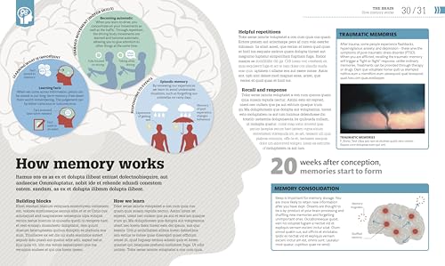 Understanding Psychology: Visual Insights and Facts