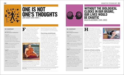 Big Ideas in Psychology: Essential Insights