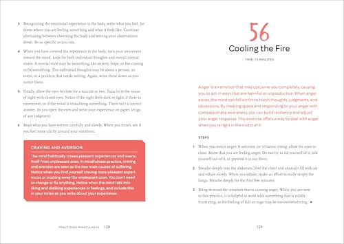 Mindfulness Meditations: 75 Techniques for Stress Relief