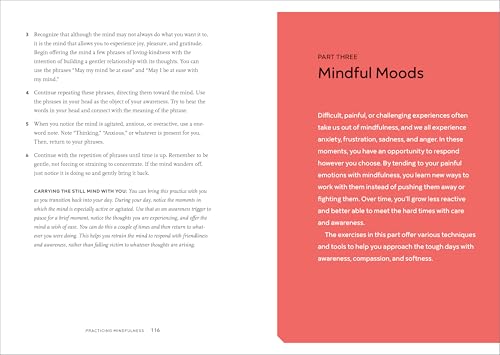 Mindfulness Meditations: 75 Techniques for Stress Relief
