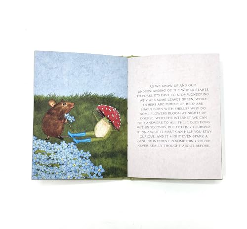 Little Frog's Self-Care Guide: Affirmations & Life Lessons