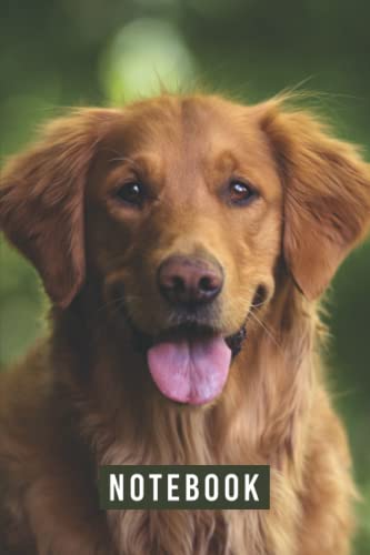 Cute Golden Retriever Dog Journal Notebook 6x9