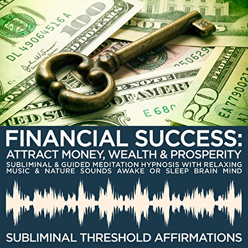 Meditation Hypnosis for Financial Success & Prosperity
