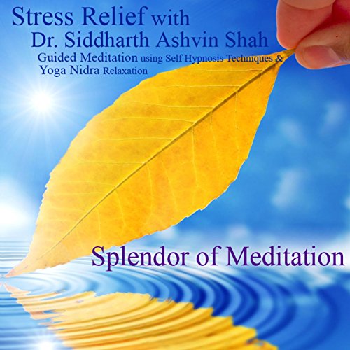 Guided Meditation for Stress Relief and Relaxation