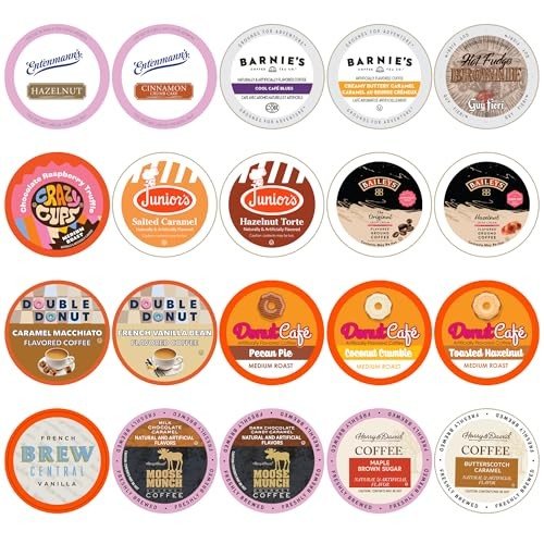 Perfect Samplers