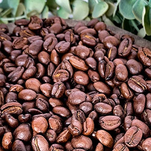 Monthly Whole Bean Coffee Subscription Box