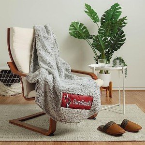 FOCO Arizona Cardinals NFL Big Logo Cloud Sherpa Blanket