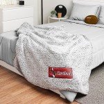 FOCO Arizona Cardinals NFL Big Logo Cloud Sherpa Blanket