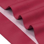 FOCO Arizona Cardinals NFL Team Color Big Logo Standard 2 Pack Pillowcases