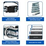 NFL PET Collar Philadelphia Eagles Dog Collar, Medium Football Team Collar for Dogs & Cats. A Shiny & Colorful Cat Collar & Dog Collar Licensed by The NFL