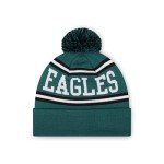 FOCO Philadelphia Eagles NFL Logo Stripe Pom Beanie Hat, Team Color