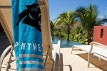 Northwest NFL Carolina Panthers Unisex-Adult Beach Towel, 30" x 60", Stripes