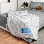 FOCO Carolina Panthers NFL Big Logo Cloud Sherpa Blanket