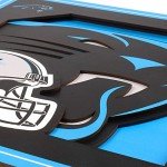 YouTheFan NFL Carolina Panthers 3D Logo Series Wall Art - 12x12