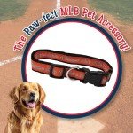 MLB Baltimore Orioles Licensed PET COLLAR- Heavy-Duty, Strong, and Durable Dog Collar. Available in 29 Baseball Teams and 4 Sizes