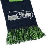 FOCO NFL Seattle Seahawks - 2016 Big Logo Scarf, One Size, Team Colors,Green