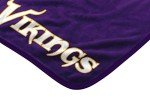 Northwest NFL Minnesota Vikings 50x60 Raschel Restructure DesignBlanket, Team Colors, One Size (1NFL070860023RET)